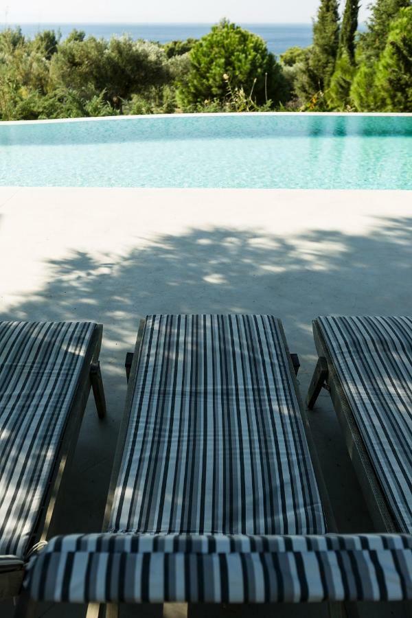 Olivia Estate Villa With Private Swimming Pool 엘리아 외부 사진